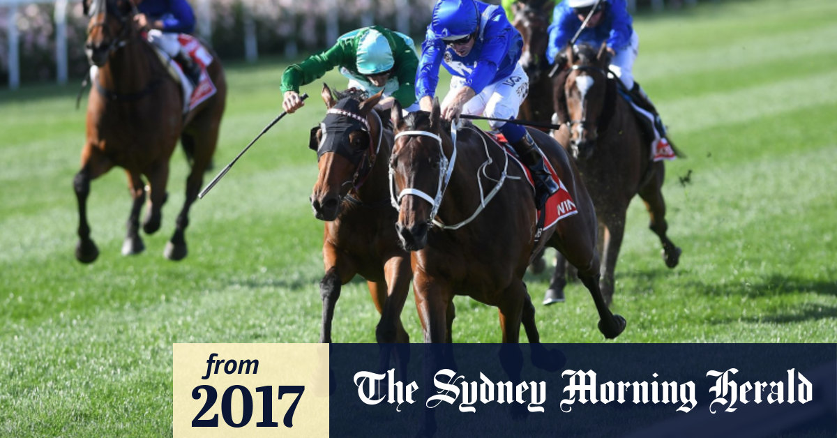 Melbourne Cup 2017 Humidor has the form, trainer and jockey to salute